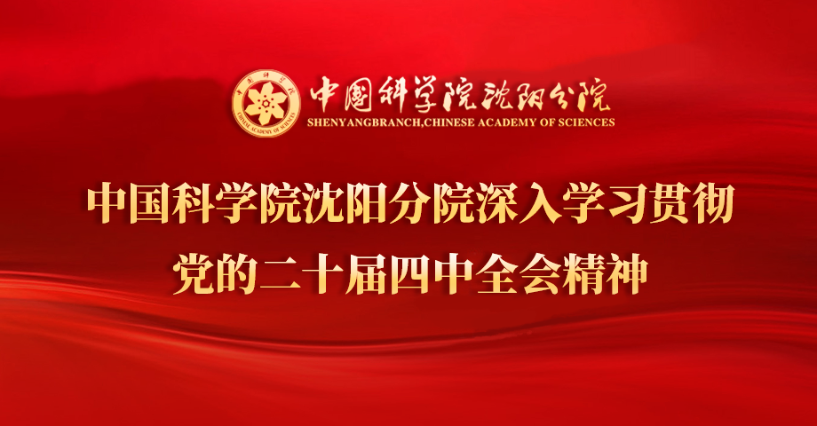 專(zhuān)題：深入學(xué)習(xí)貫徹黨的二十屆四中全會(huì)精神